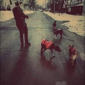 Meet your Posher, Robert